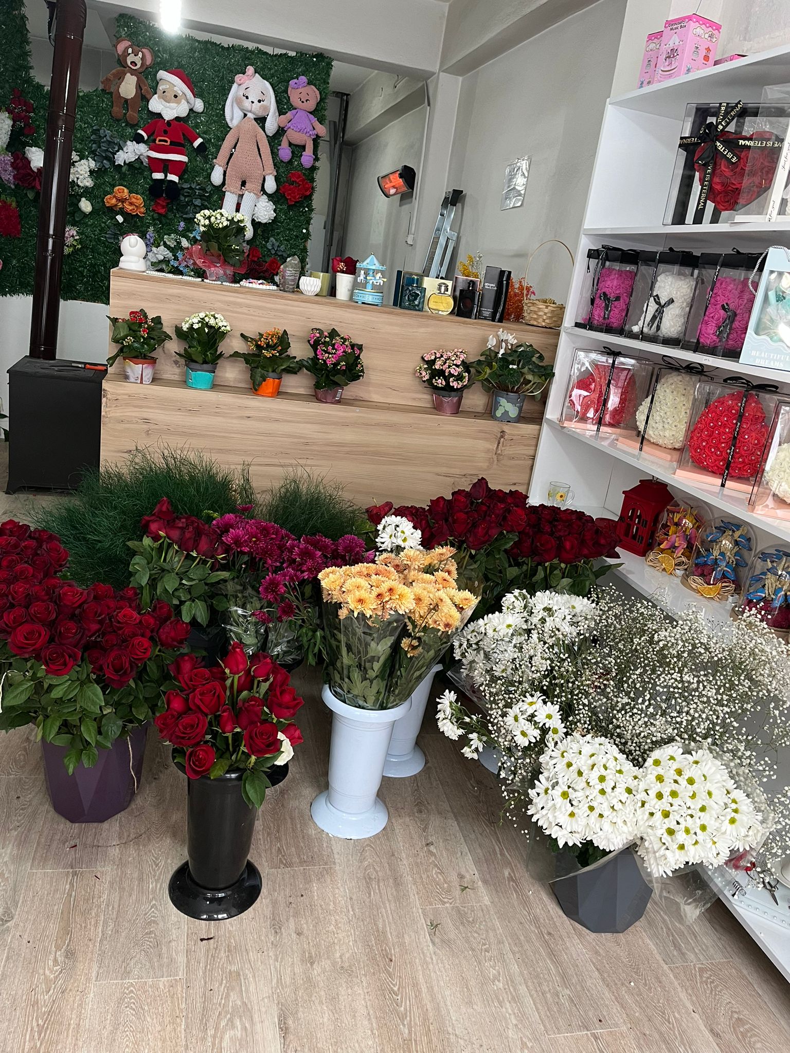 Damla Çiçek Dünyası